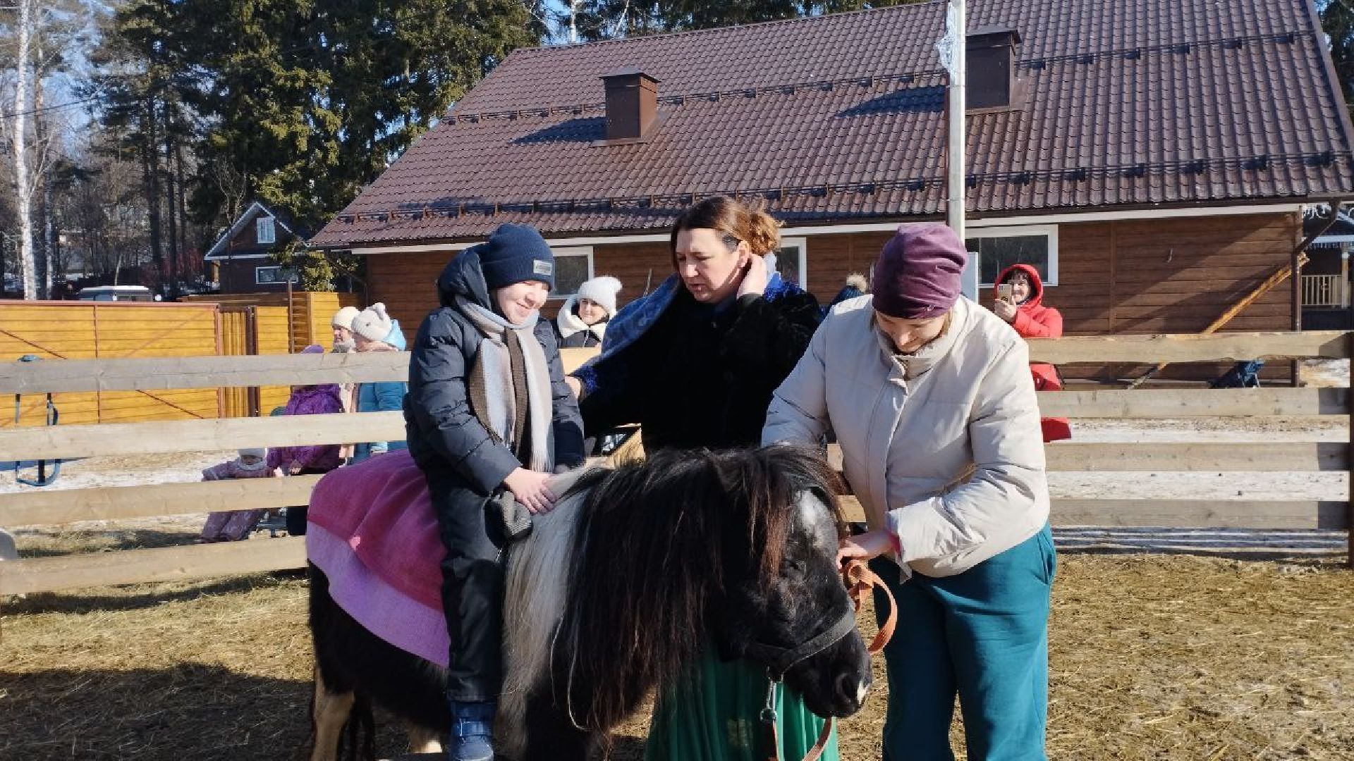 пушкино, экопарк, центр социального обслуживания, дети, масленичная неделя, животные, социальная адаптация,