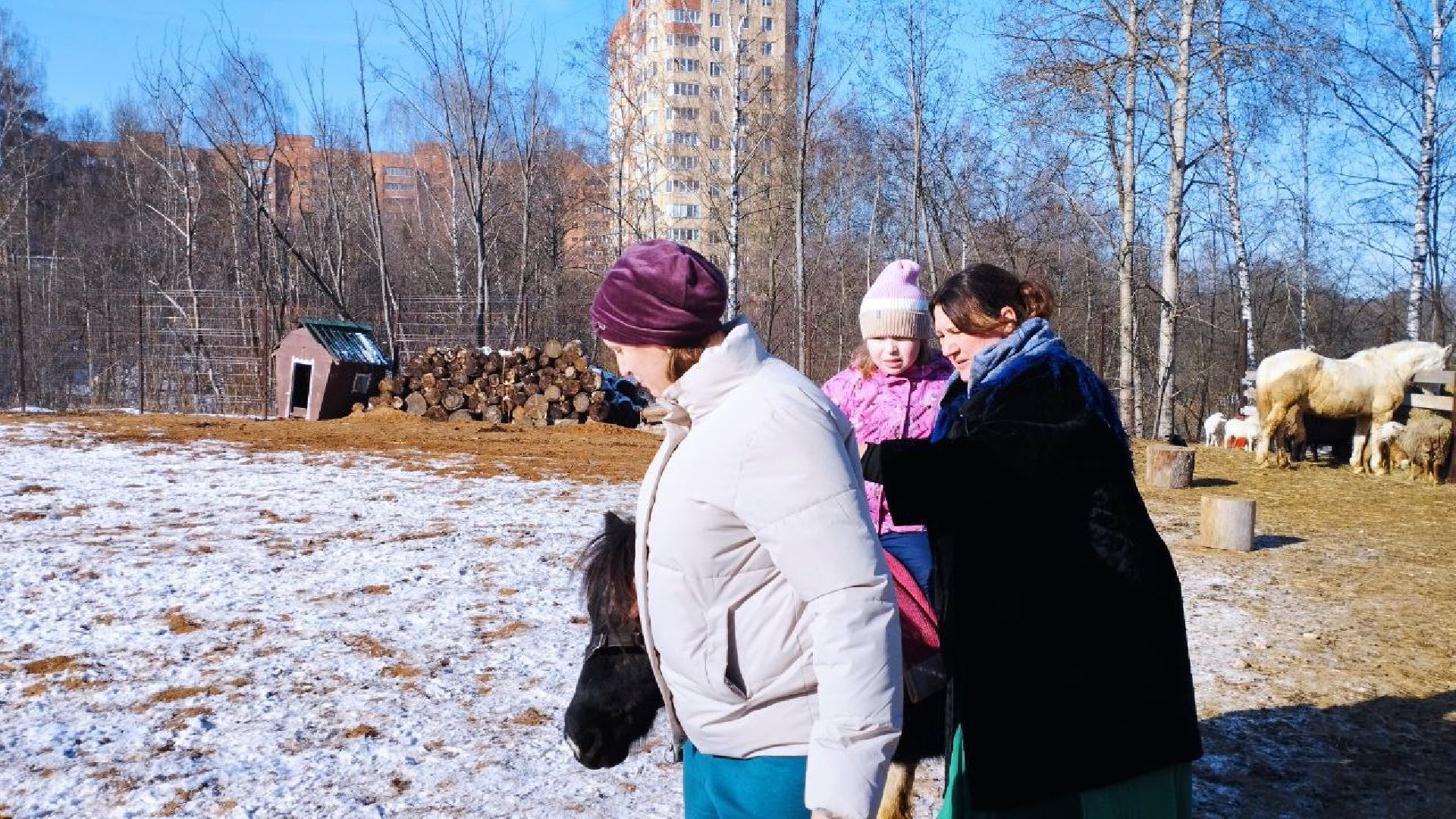 пушкино, экопарк, центр социального обслуживания, дети, масленичная неделя, животные, социальная адаптация,