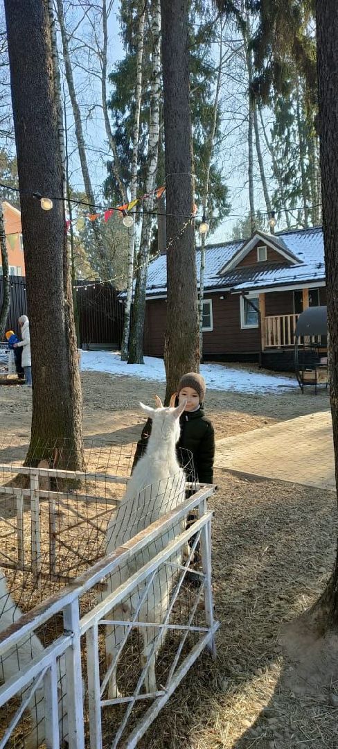 пушкино, экопарк, центр социального обслуживания, дети, масленичная неделя, животные, социальная адаптация,