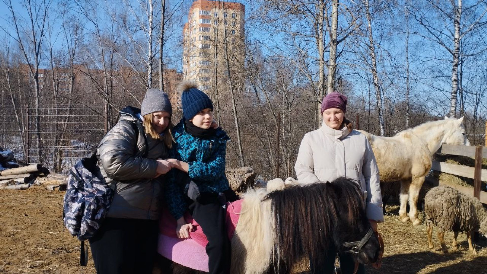 пушкино, экопарк, центр социального обслуживания, дети, масленичная неделя, животные, социальная адаптация,