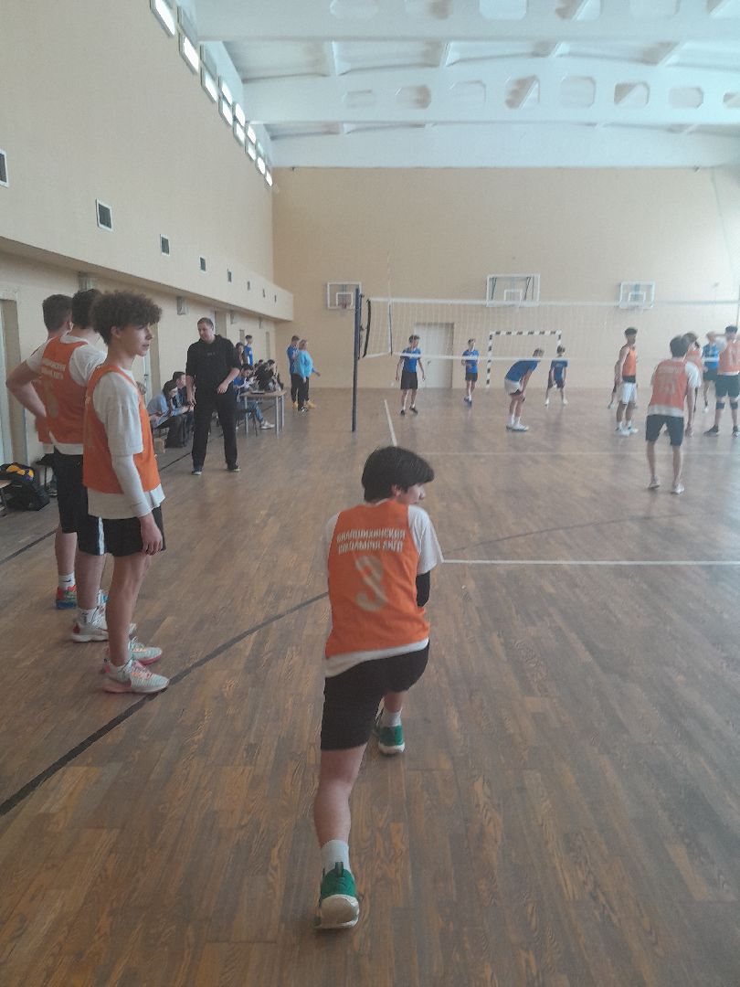 волейбол, игры школ, финал, спорт, школа 12, балашиха,