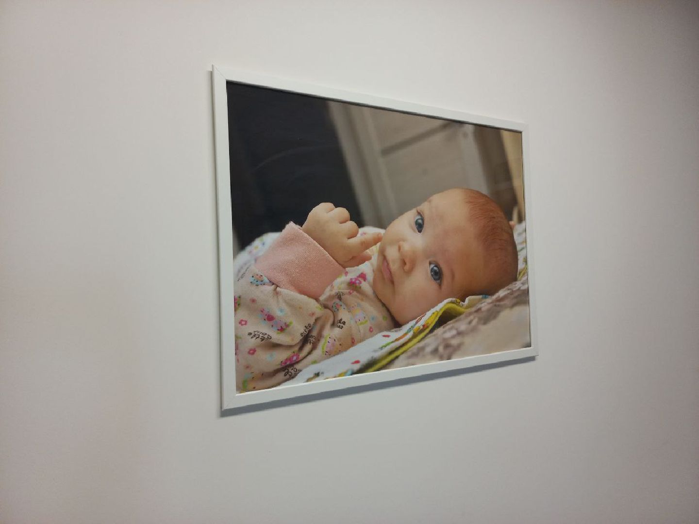 сергиво-посадский городской округ, доктор андрей продеус, питание, дети, ГМО, органика,