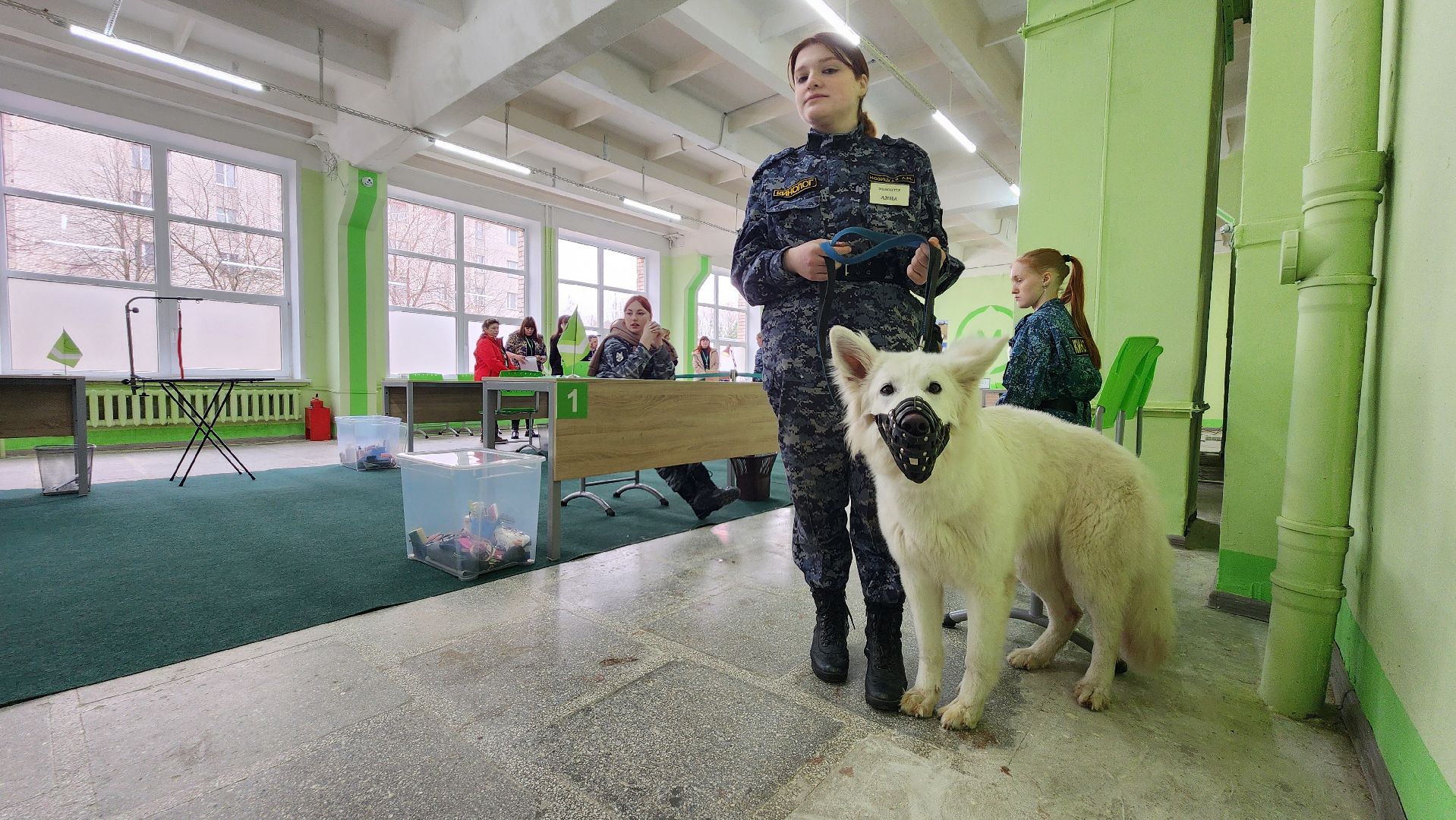 кинологи, чемпионат профессионалы 2025, протвино,