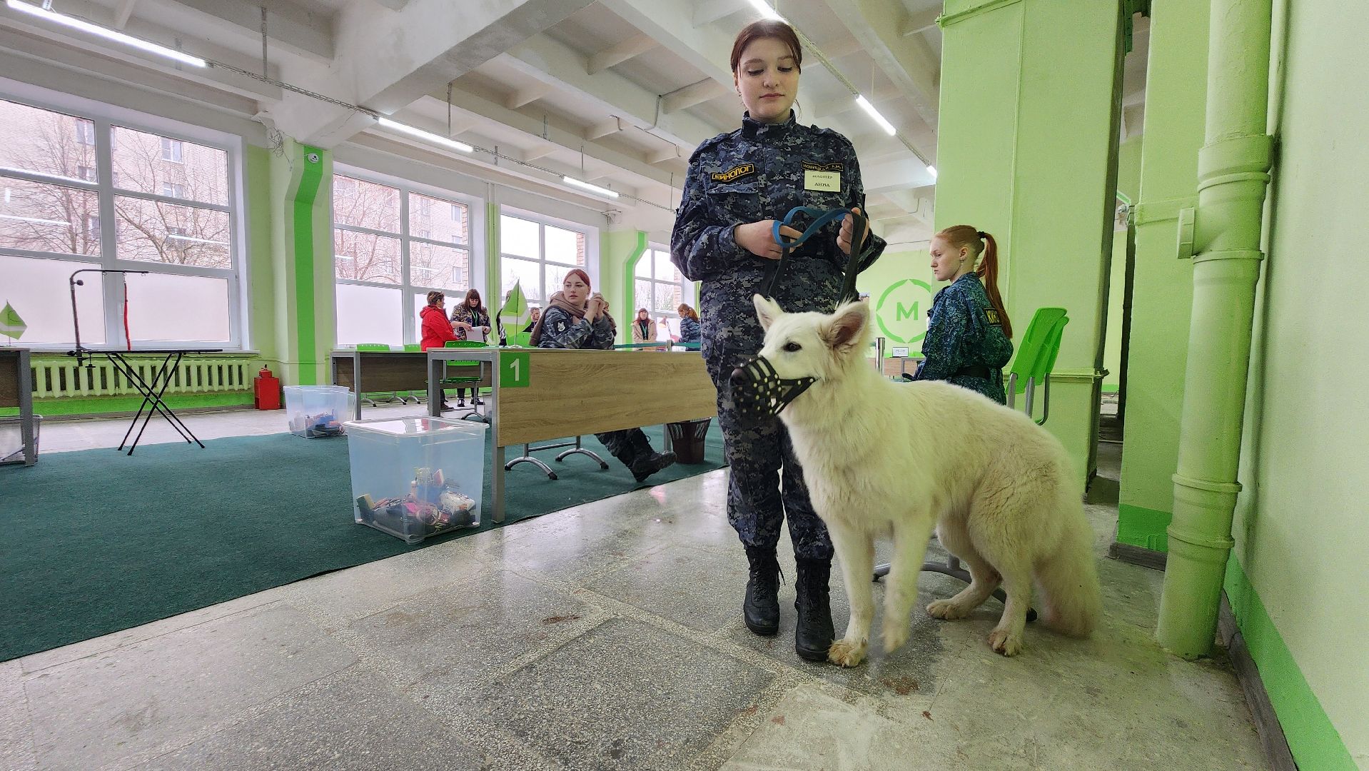 кинологи, чемпионат профессионалы 2025, протвино,