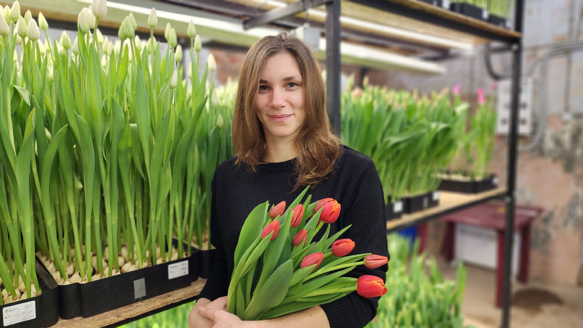 Руза, Тюльпаны, 8 марта, международный женский день, предприниматель,