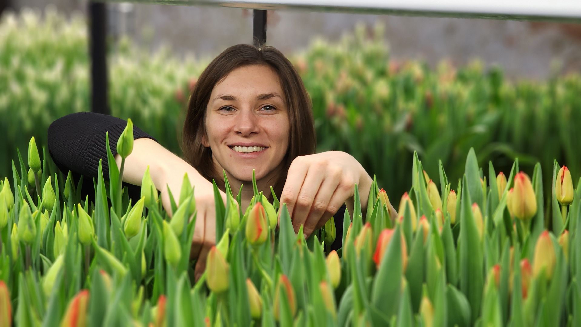 Руза, Тюльпаны, 8 марта, международный женский день, предприниматель,
