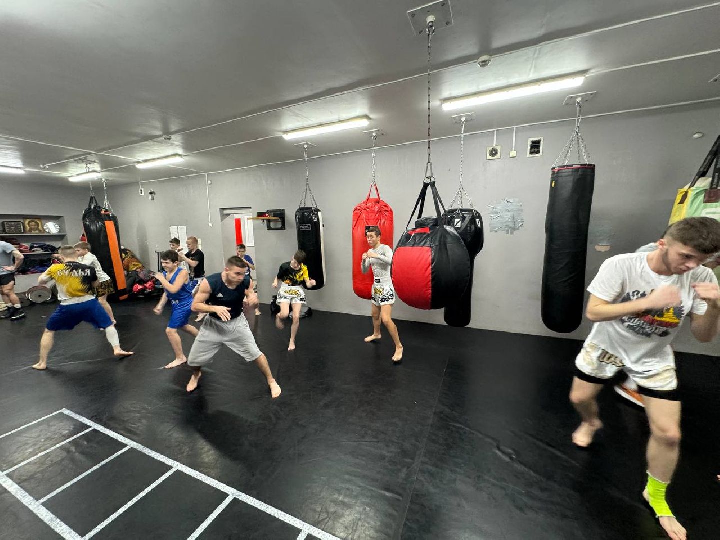 реутов, вертикалки, спорт, международные соревнования, кикбоксинг, победа,