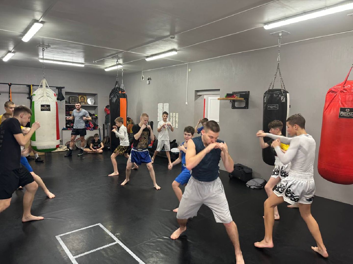 реутов, вертикалки, спорт, международные соревнования, кикбоксинг, победа,