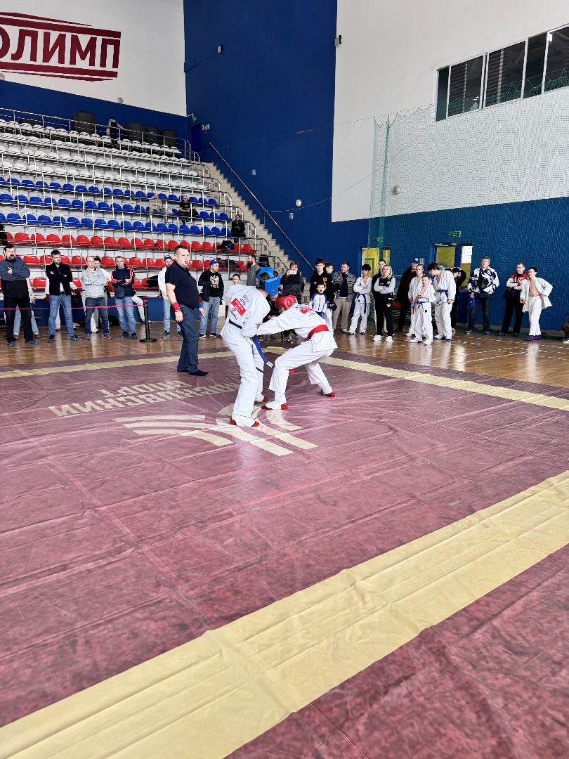 солнечногорск, фестиваль единоборств, спортсмены, победа, медали,