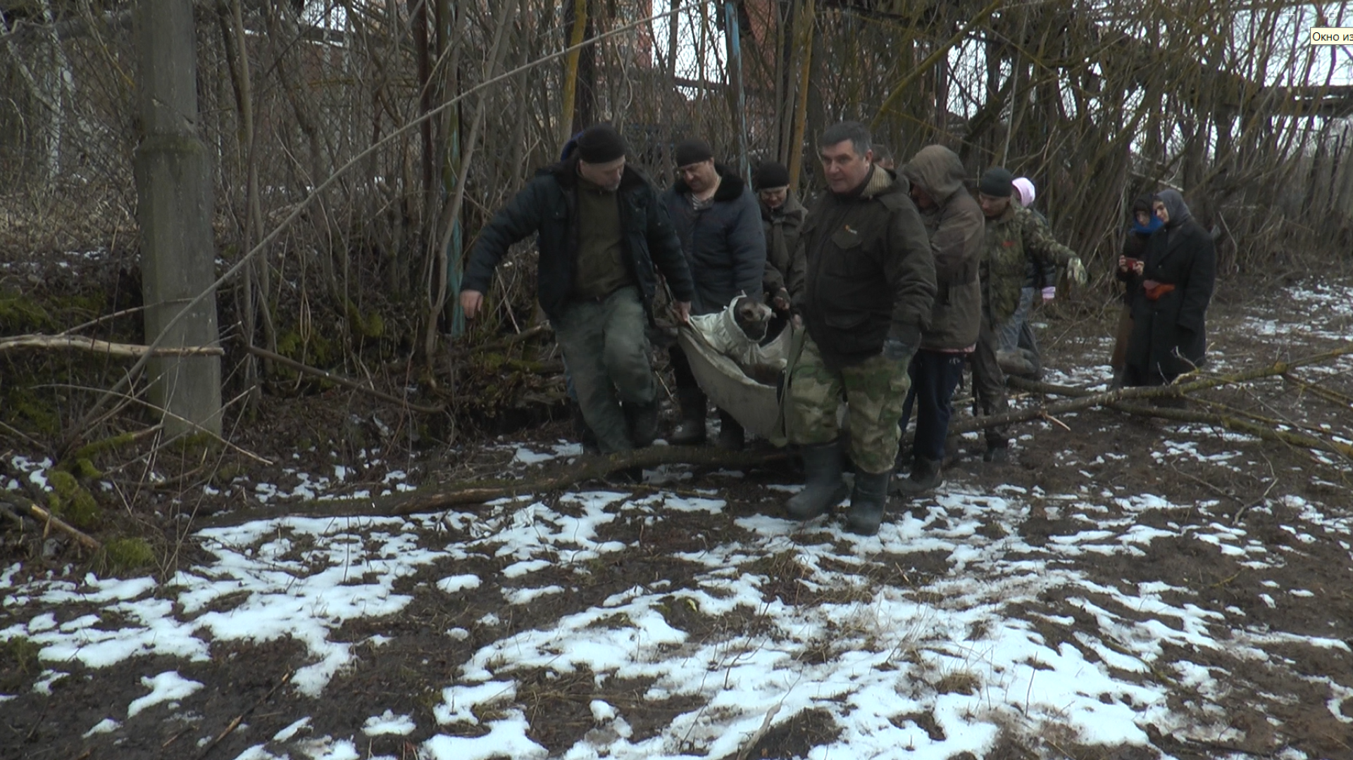 Дмитров, Охотнадзор, Минэкологии, Лось,
