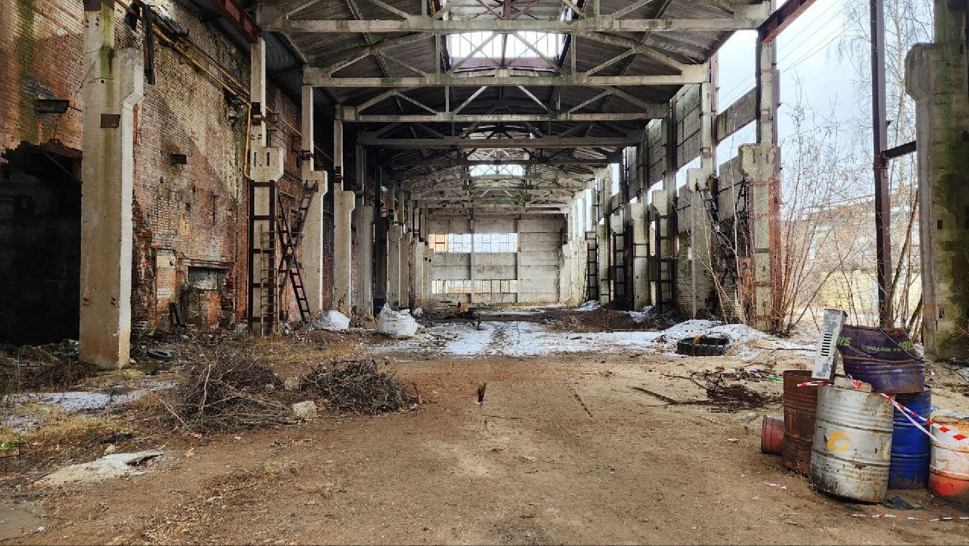 Дмитров, Охотнадзор, Минэкологии, Лось,