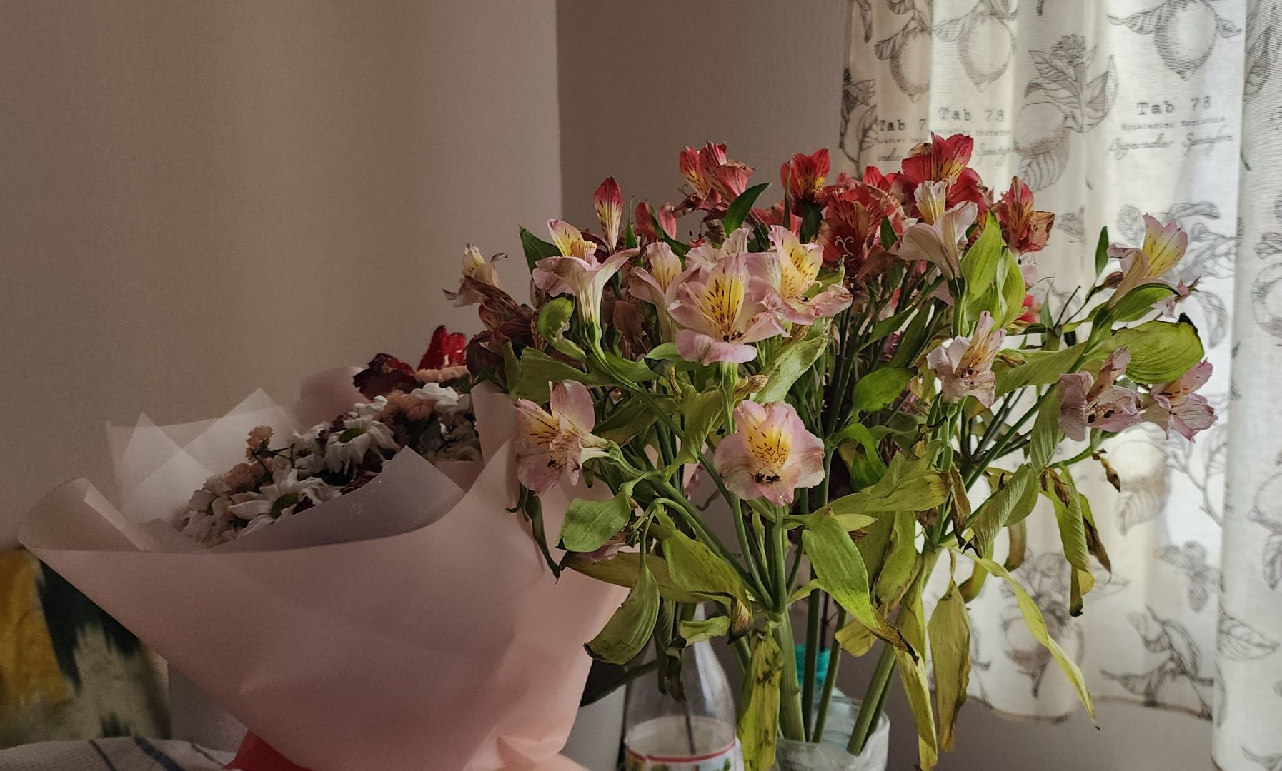 люди звенигорода,80-летие победы, общество,