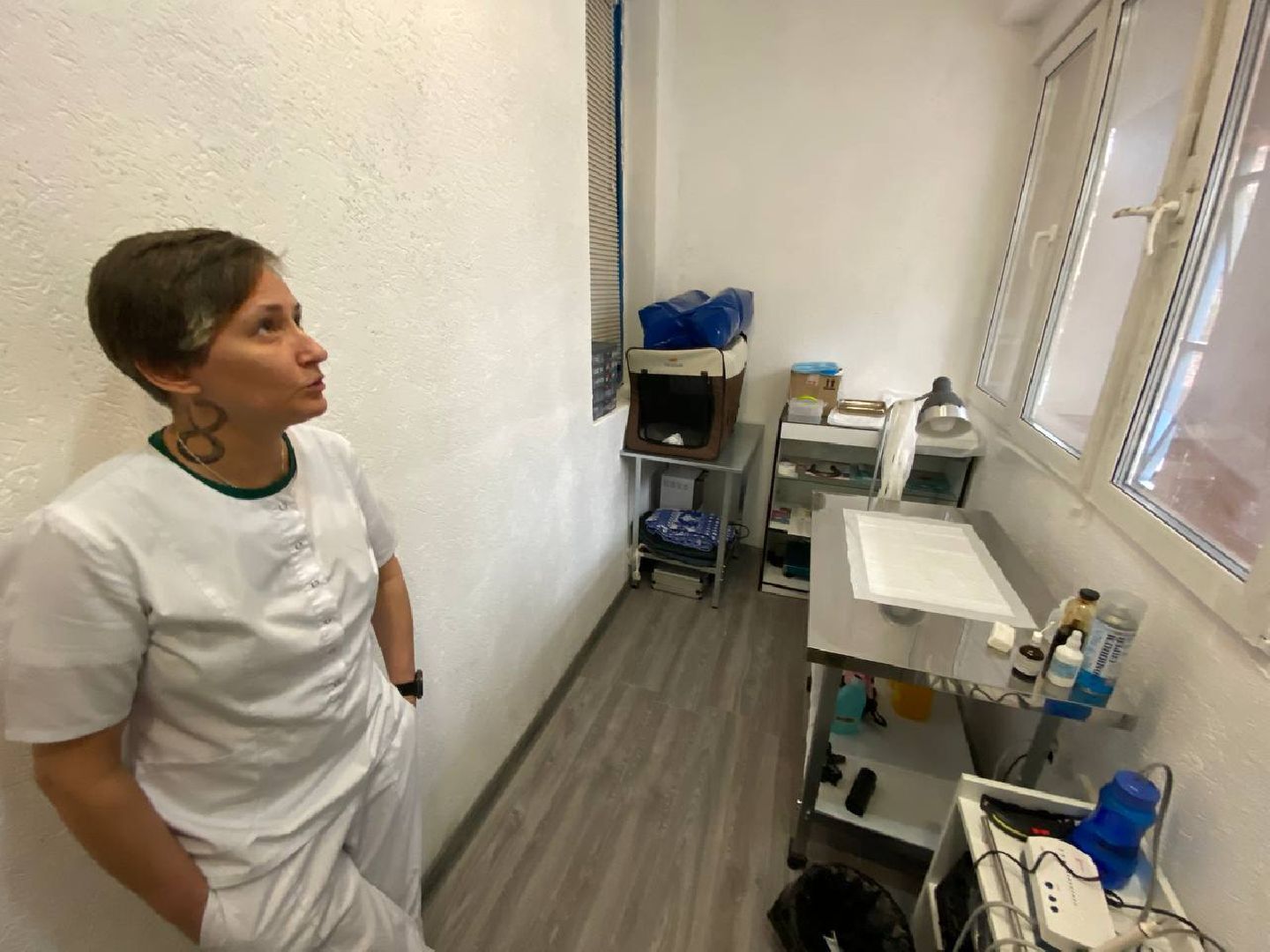 клещи, ветеринарныйврач, профилактикаотклещей, противклещей,