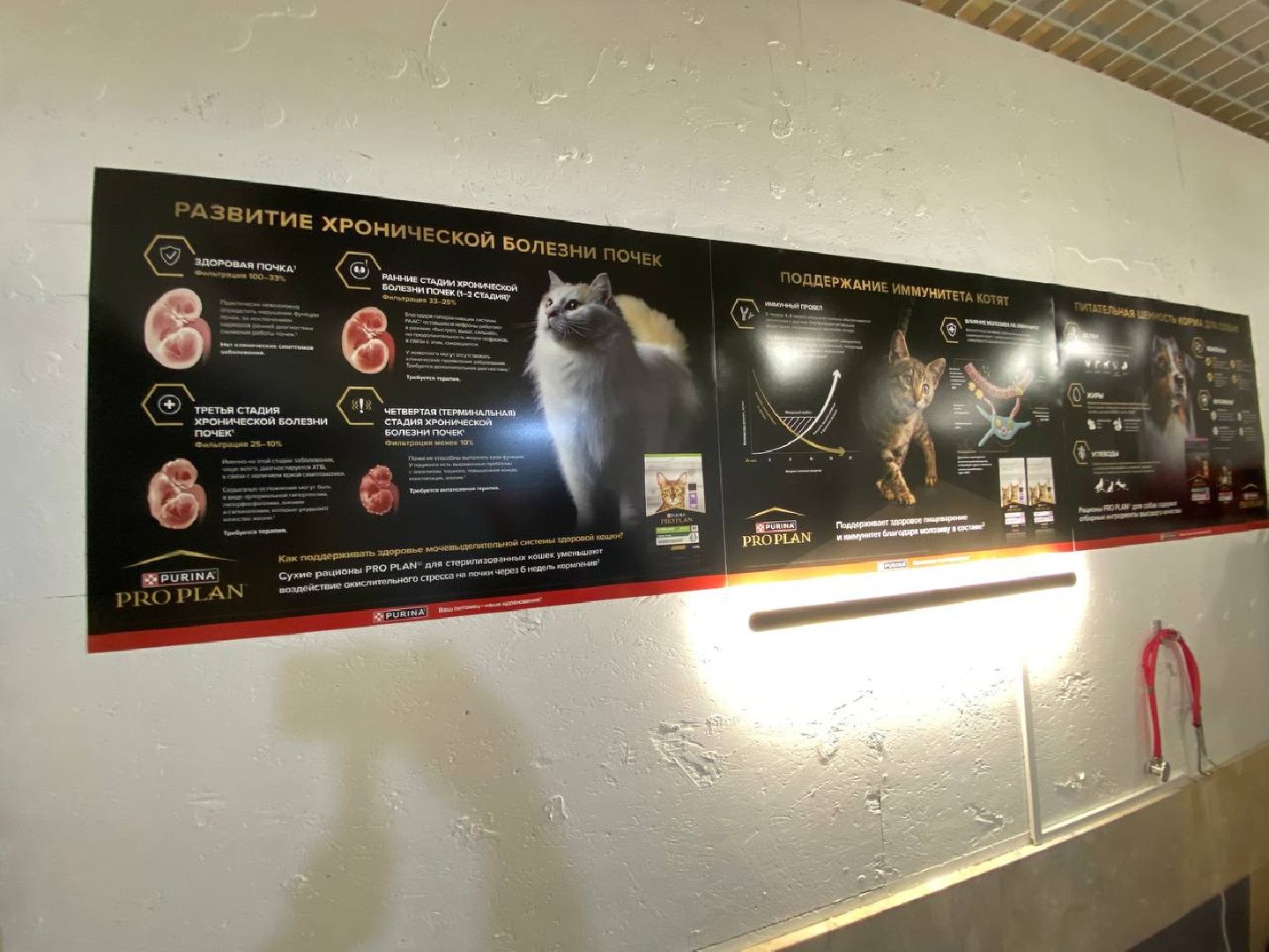 клещи, ветеринарныйврач, профилактикаотклещей, противклещей,