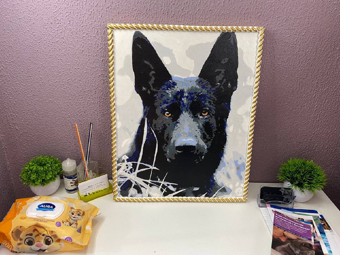 клещи, ветеринарныйврач, профилактикаотклещей, противклещей,