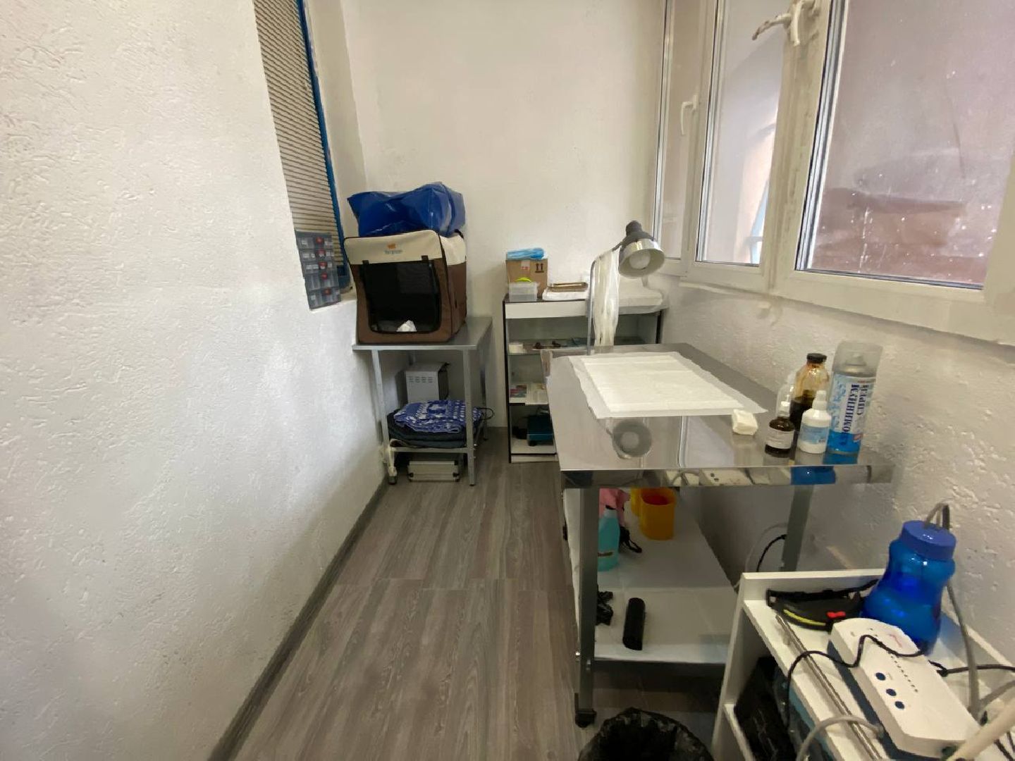 клещи, ветеринарныйврач, профилактикаотклещей, противклещей,