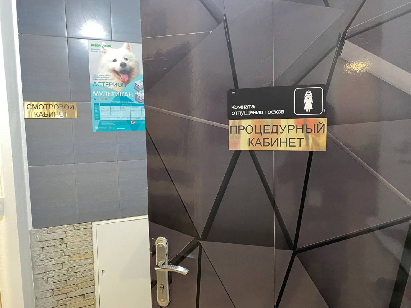 клещи, ветеринарныйврач, профилактикаотклещей, противклещей,