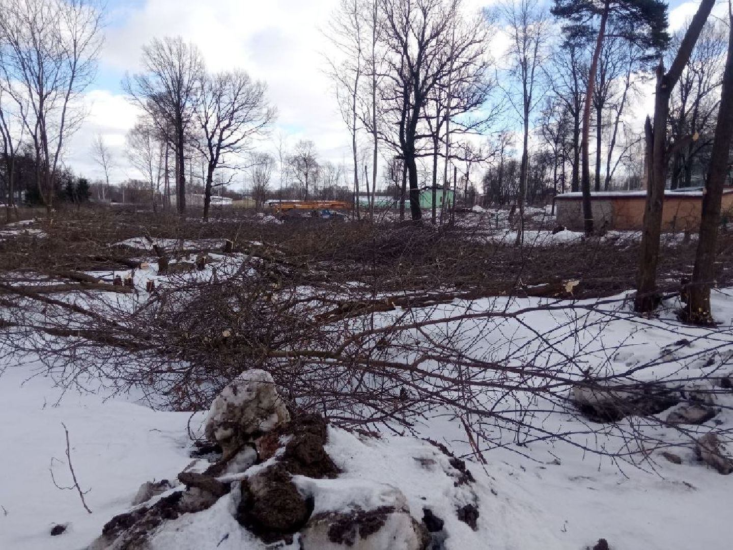 павловский посад, парк, благоустройство,