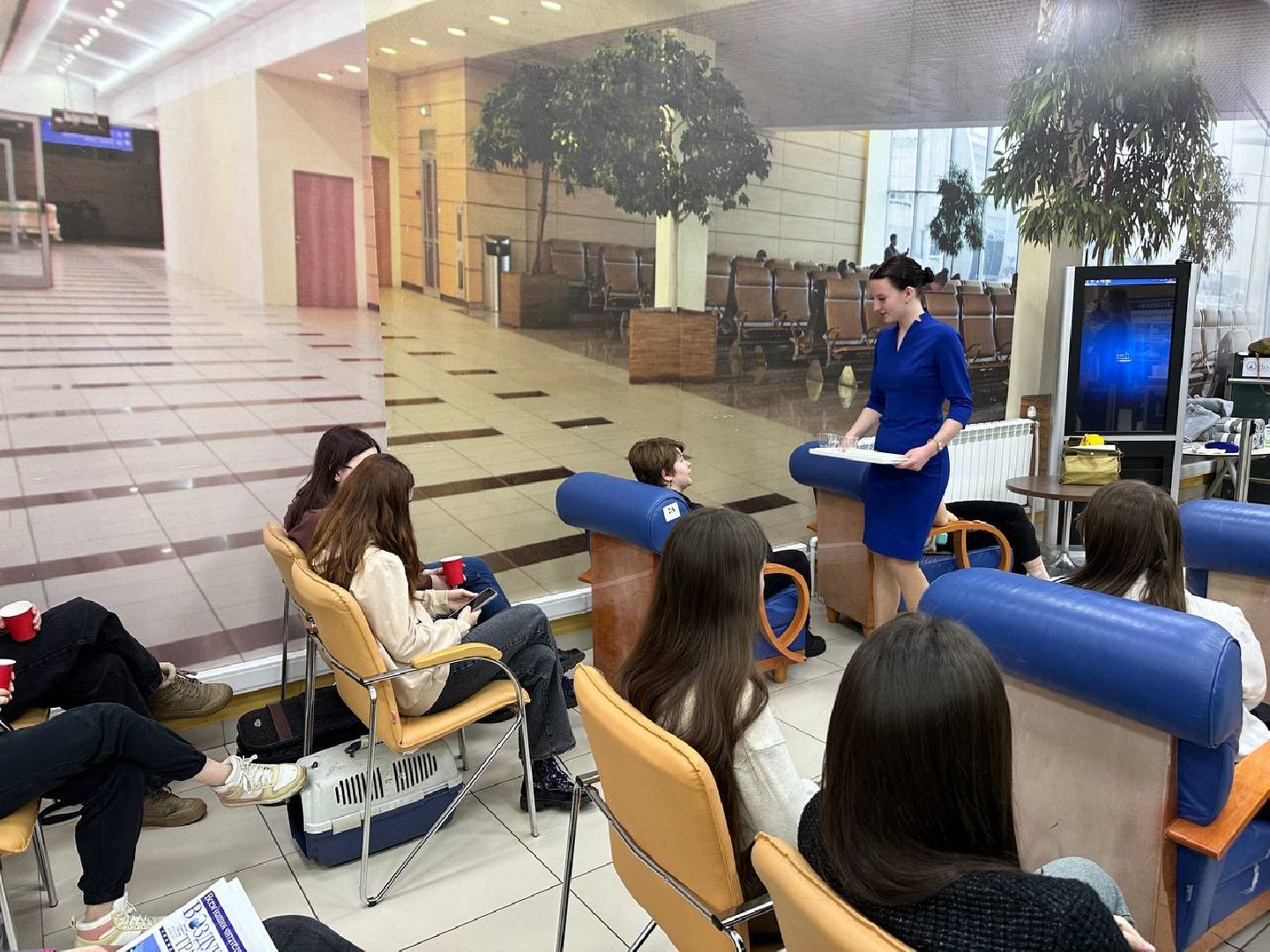 профессионалы-2025, образование, домодедедово,