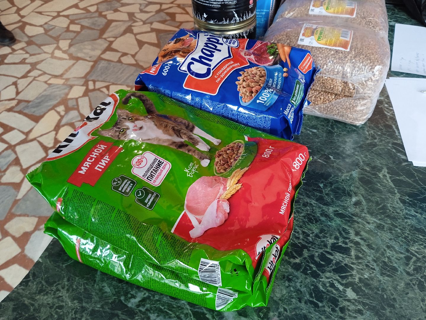 Коломна, благотворительная акция, помощь бездомным животным, молодая гвардия,