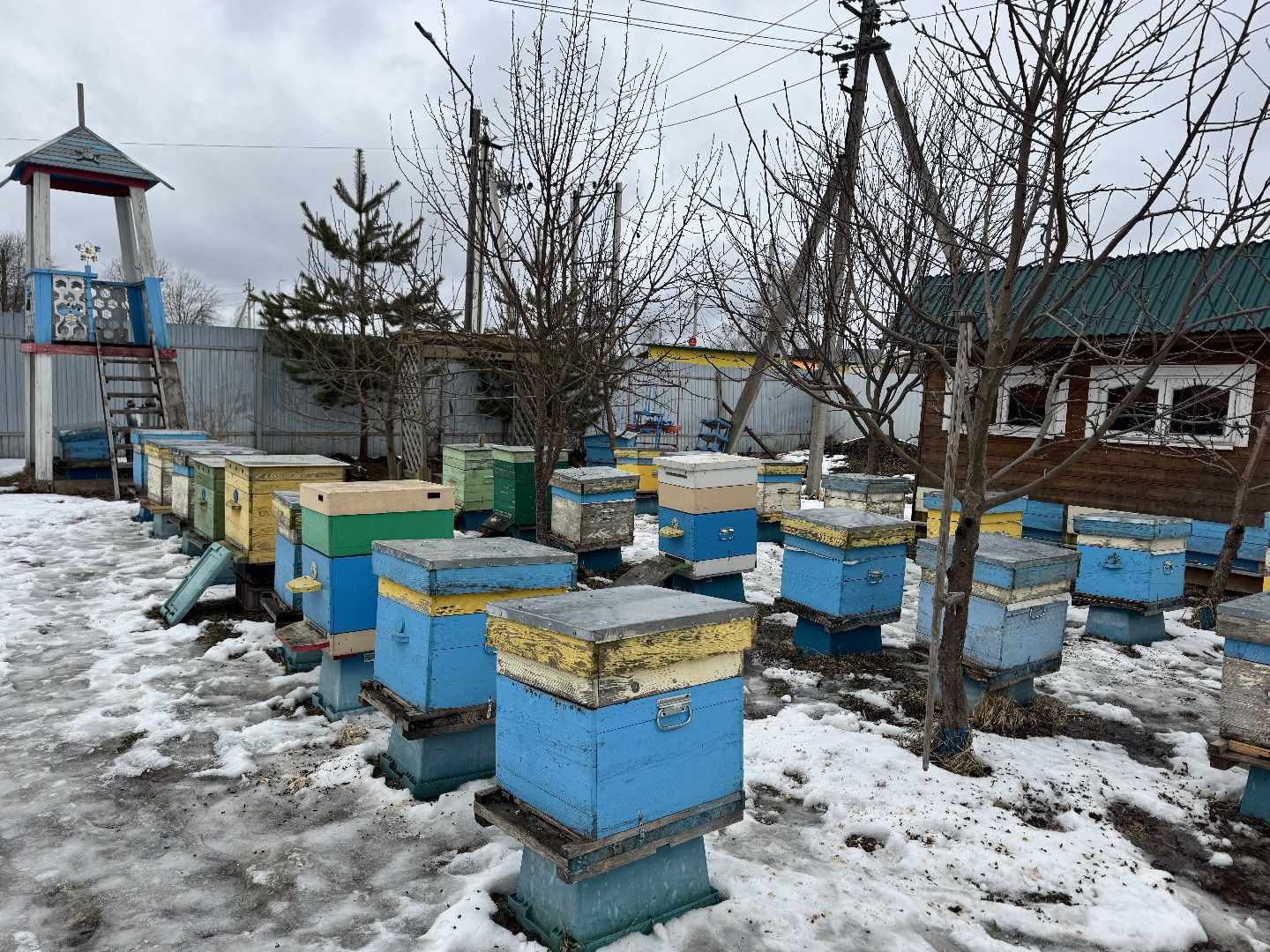 шаховская, мёд, пчеловод, конкурс, вертикалки,