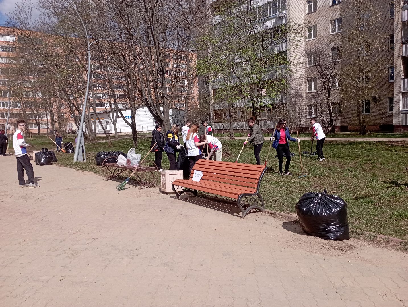 благоустройство, субботник, сквер, Дубна