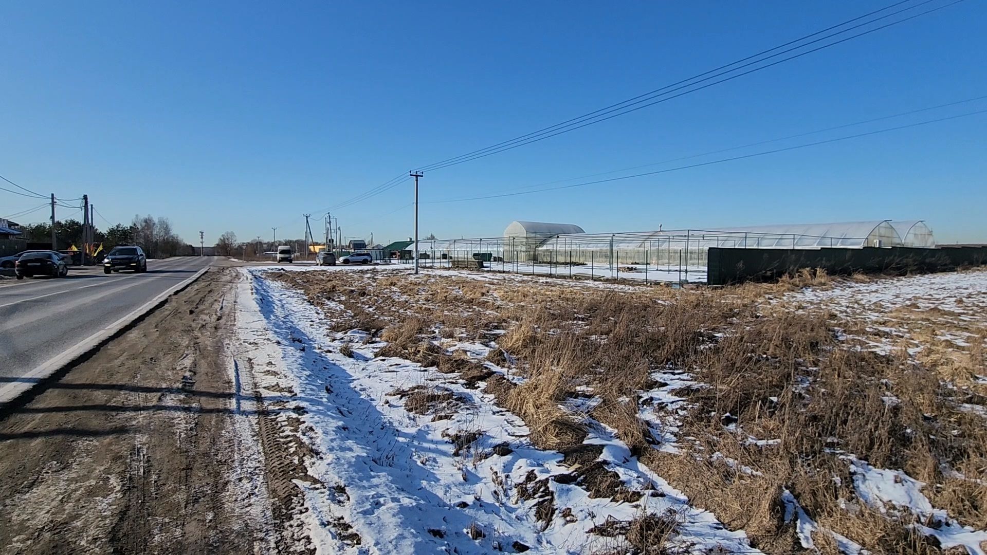 Чехов, деревня Хлевино,тепличный комплекс, тюльпаны, выращивание, производство, новая технология, гидропоника, искусственная среда, питательный раствор, без почвы,