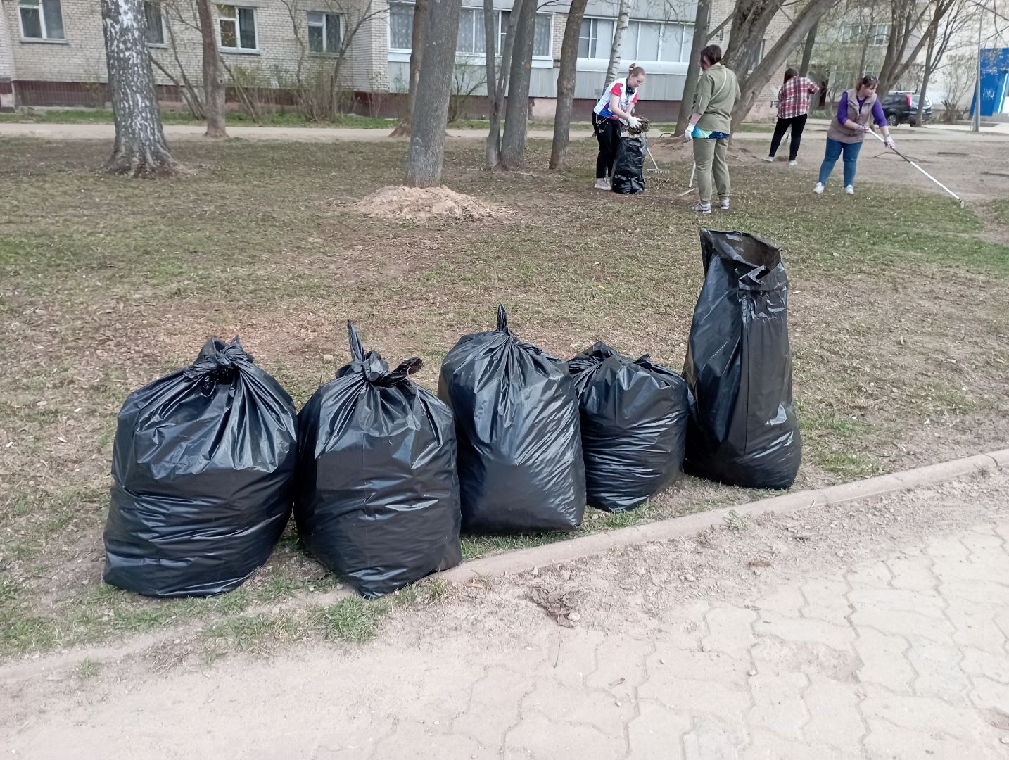 МИСК, благоустройство, стрингер, субботник, Дубна