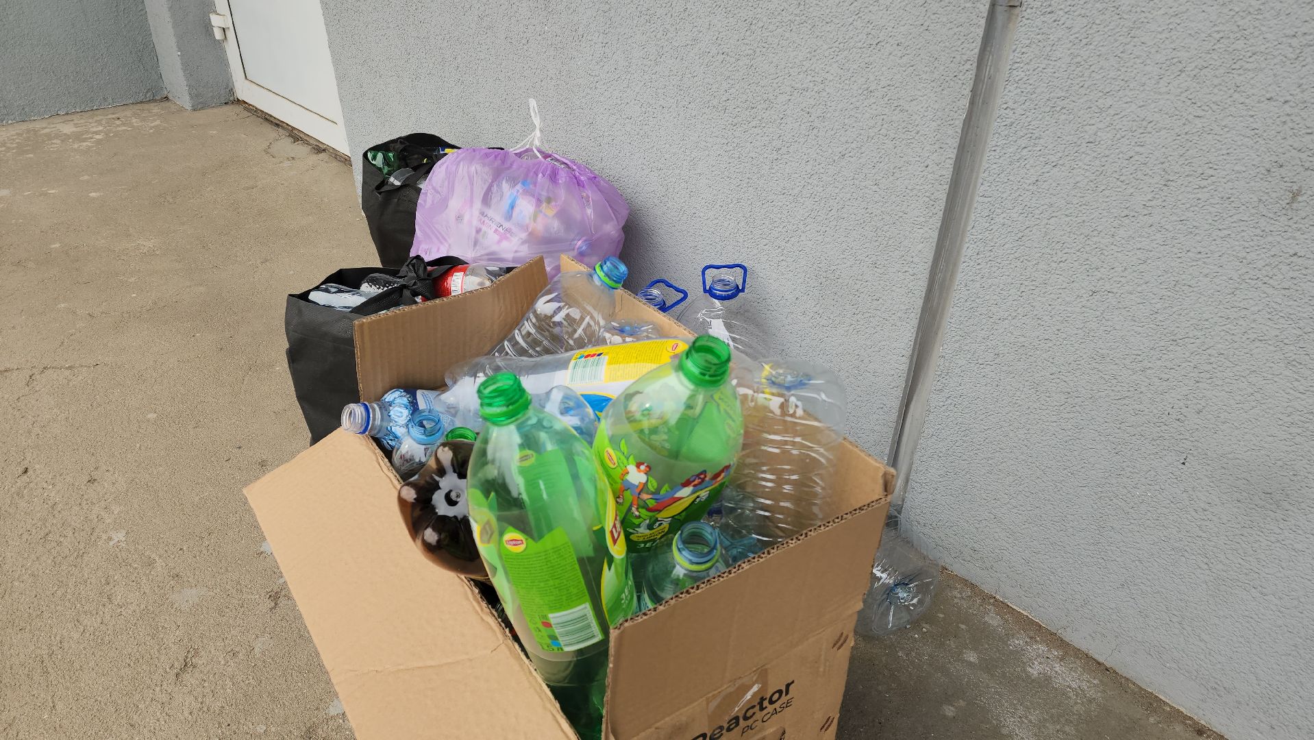 пластиковые бутылки, Пластик, экологическая акция, Лобня,