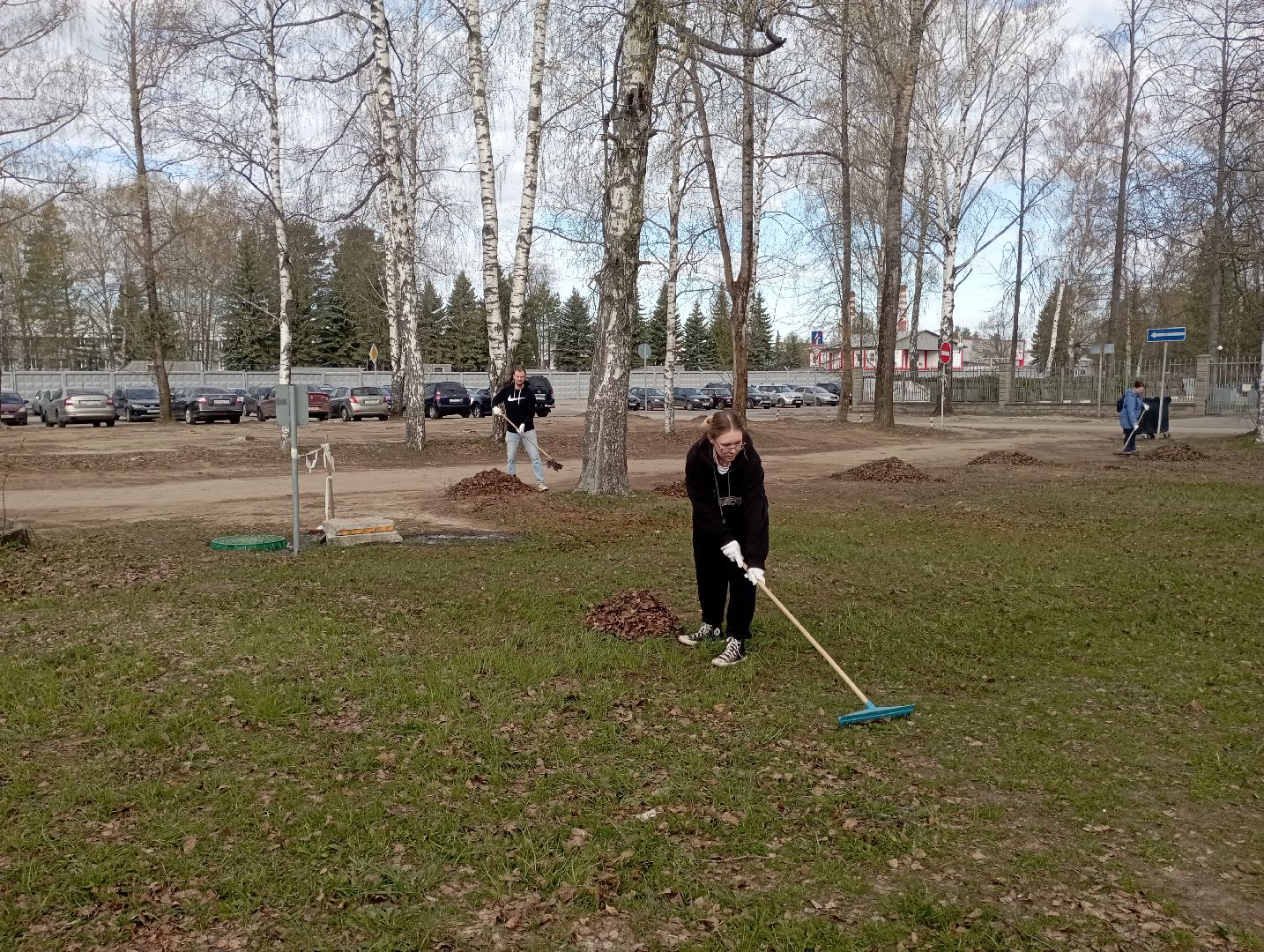 благоустройство, ДМЗ, субботник, Дубна
