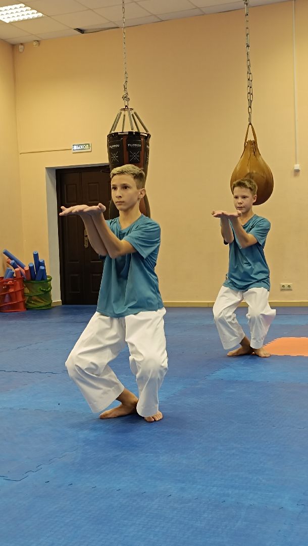 карате, спорт, лобня,
