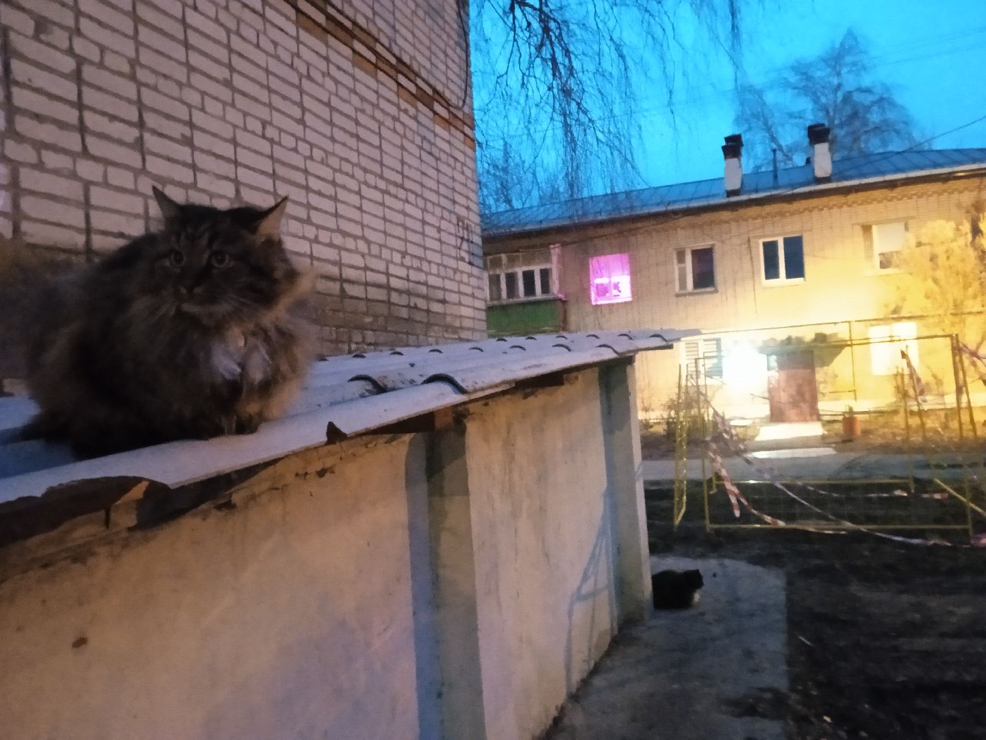 Коломна, коммунальная авария,