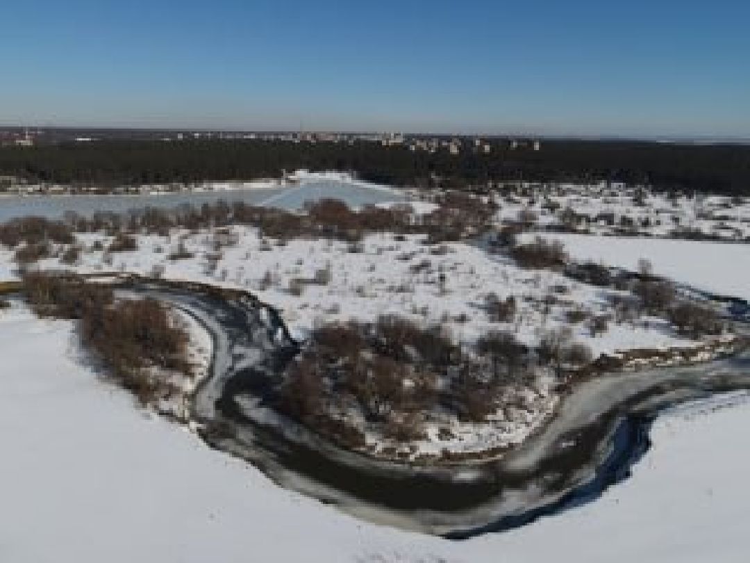 Протвино, общество