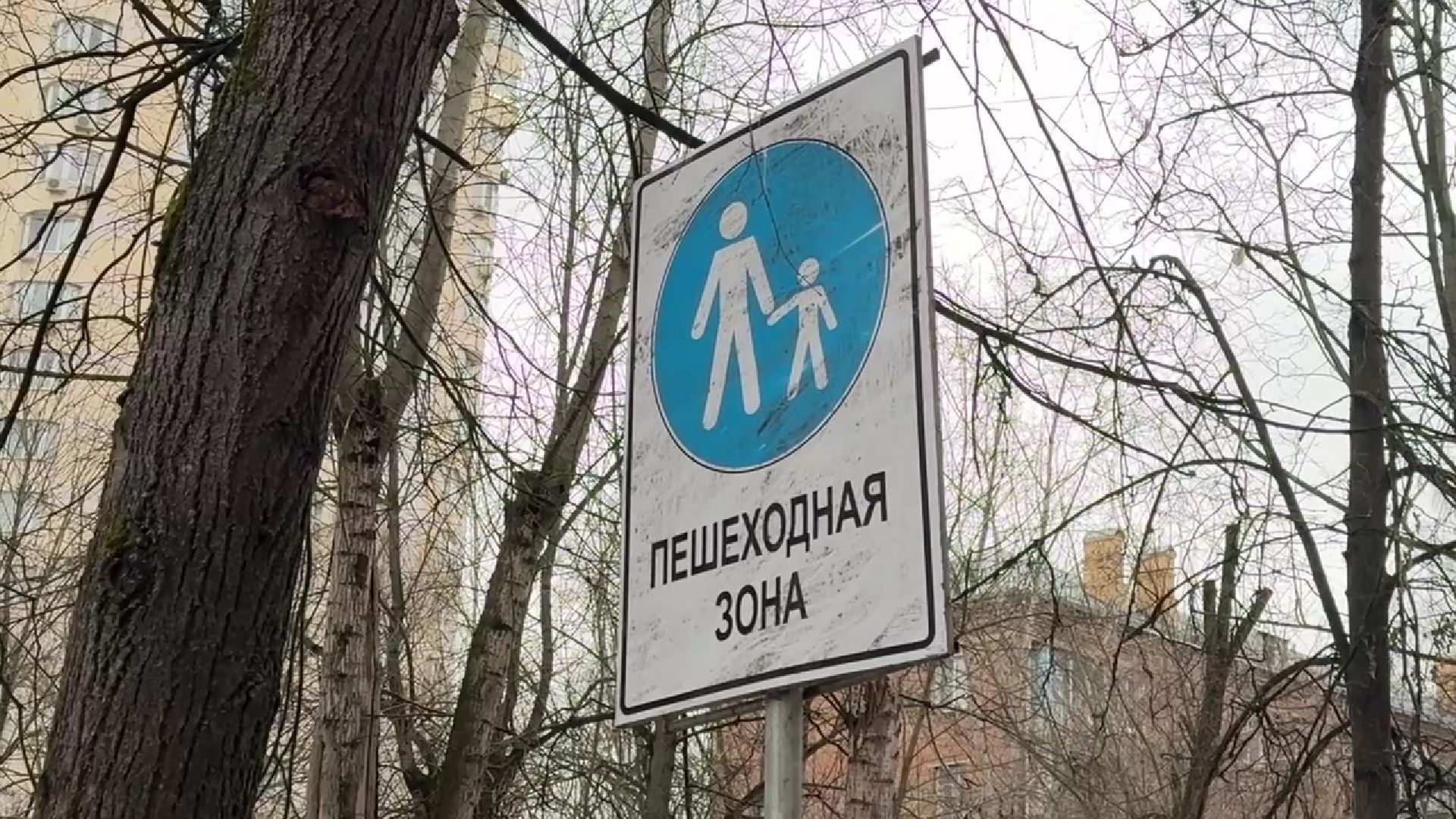 реутов, вертикалки, благоустройство, сквер,