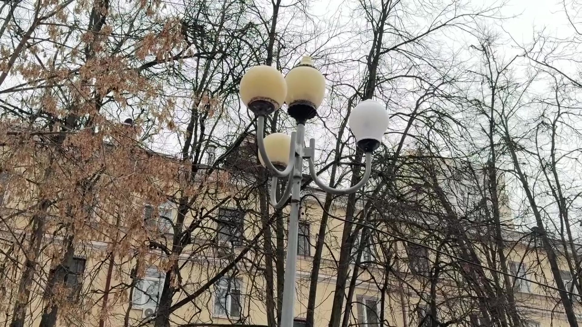 реутов, вертикалки, благоустройство, сквер,