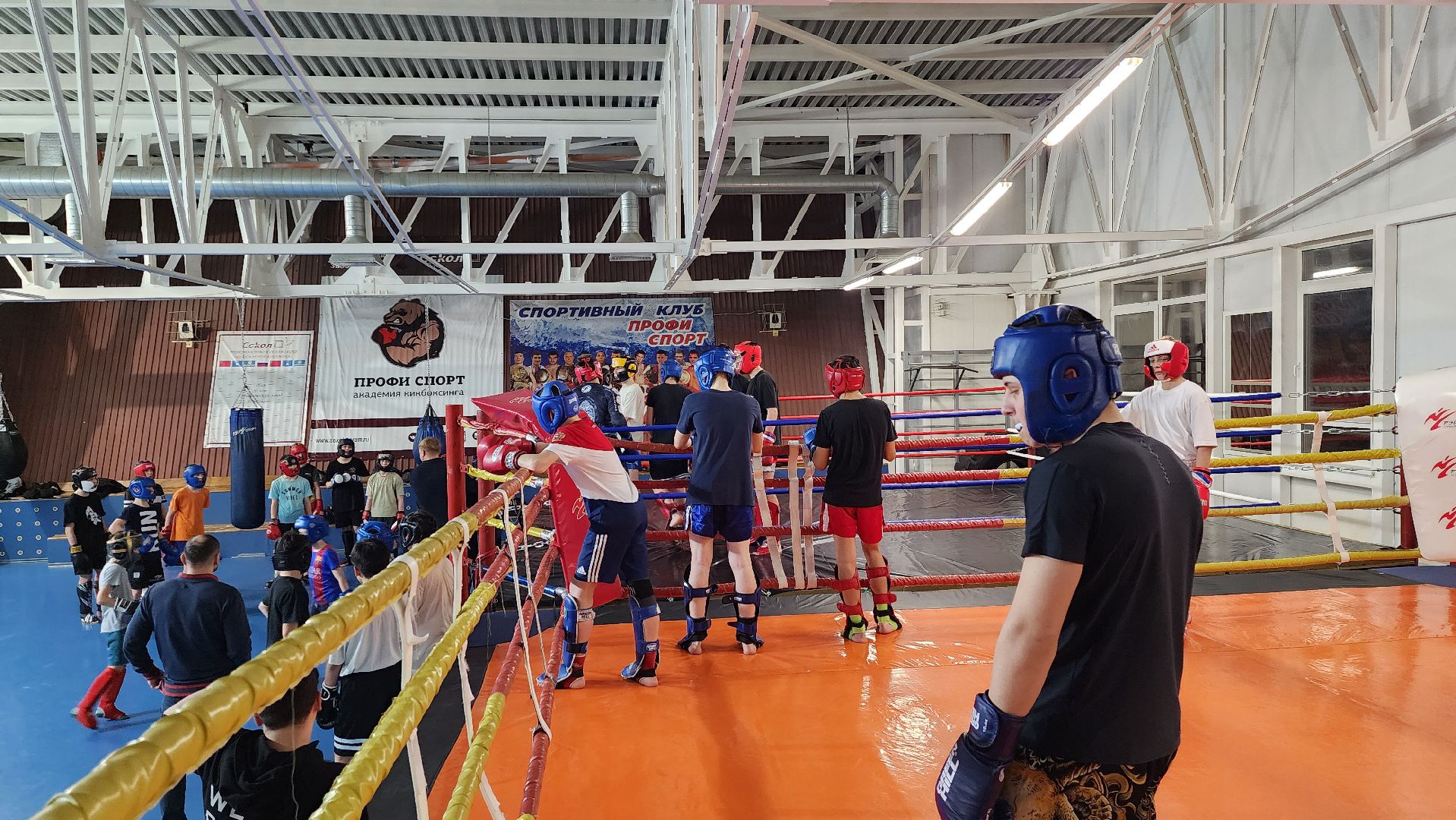истра, спорт, кикбоксинг, чемпионат мира,