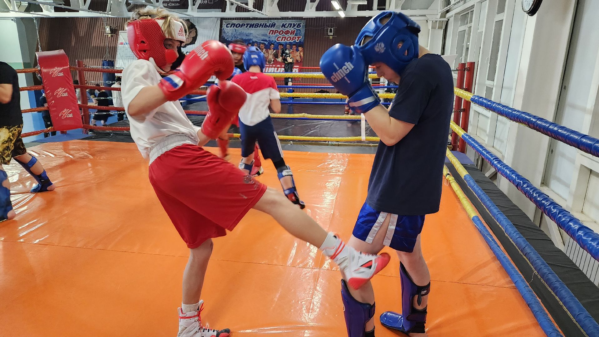 истра, спорт, кикбоксинг, чемпионат мира,