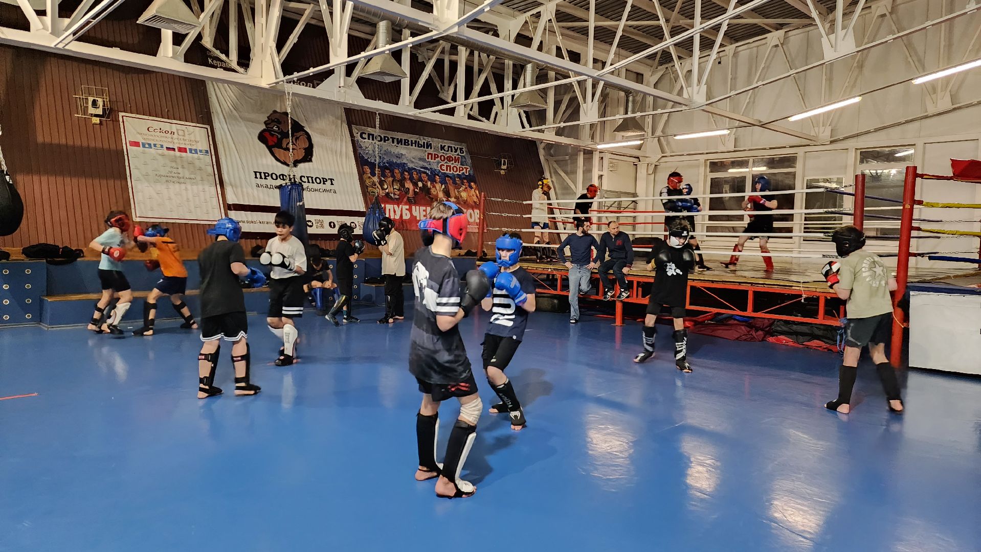 истра, спорт, кикбоксинг, чемпионат мира,