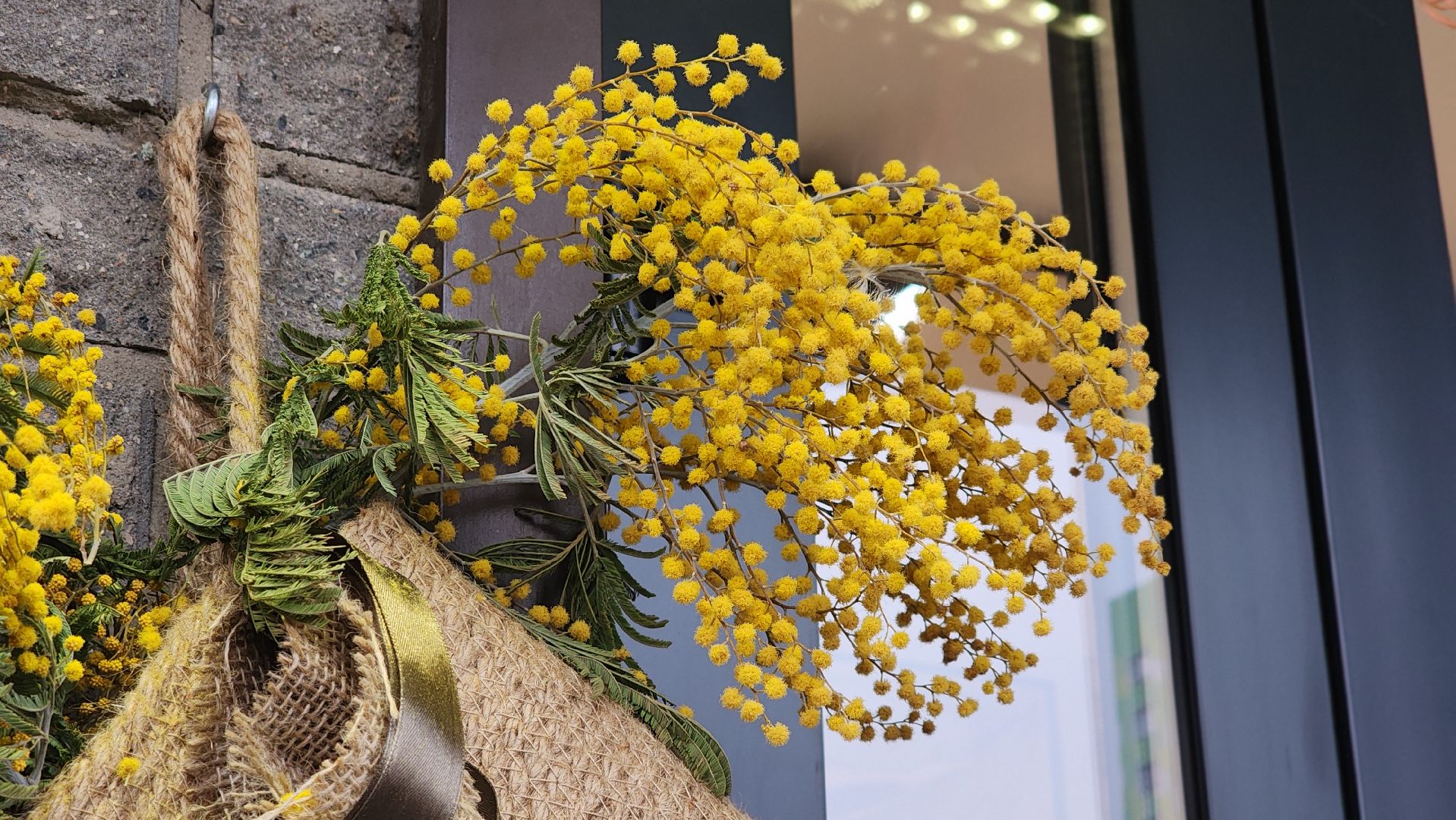 8 марта, Международный женский день, цветы, Лосино-Петровский, мимиоза,