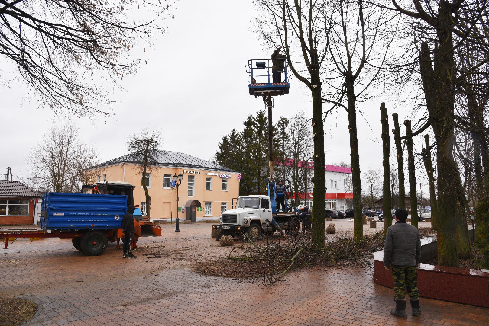 лотошино, благоустройство, кронирование,