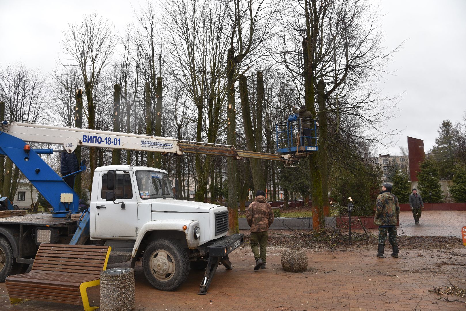 лотошино, благоустройство, кронирование,