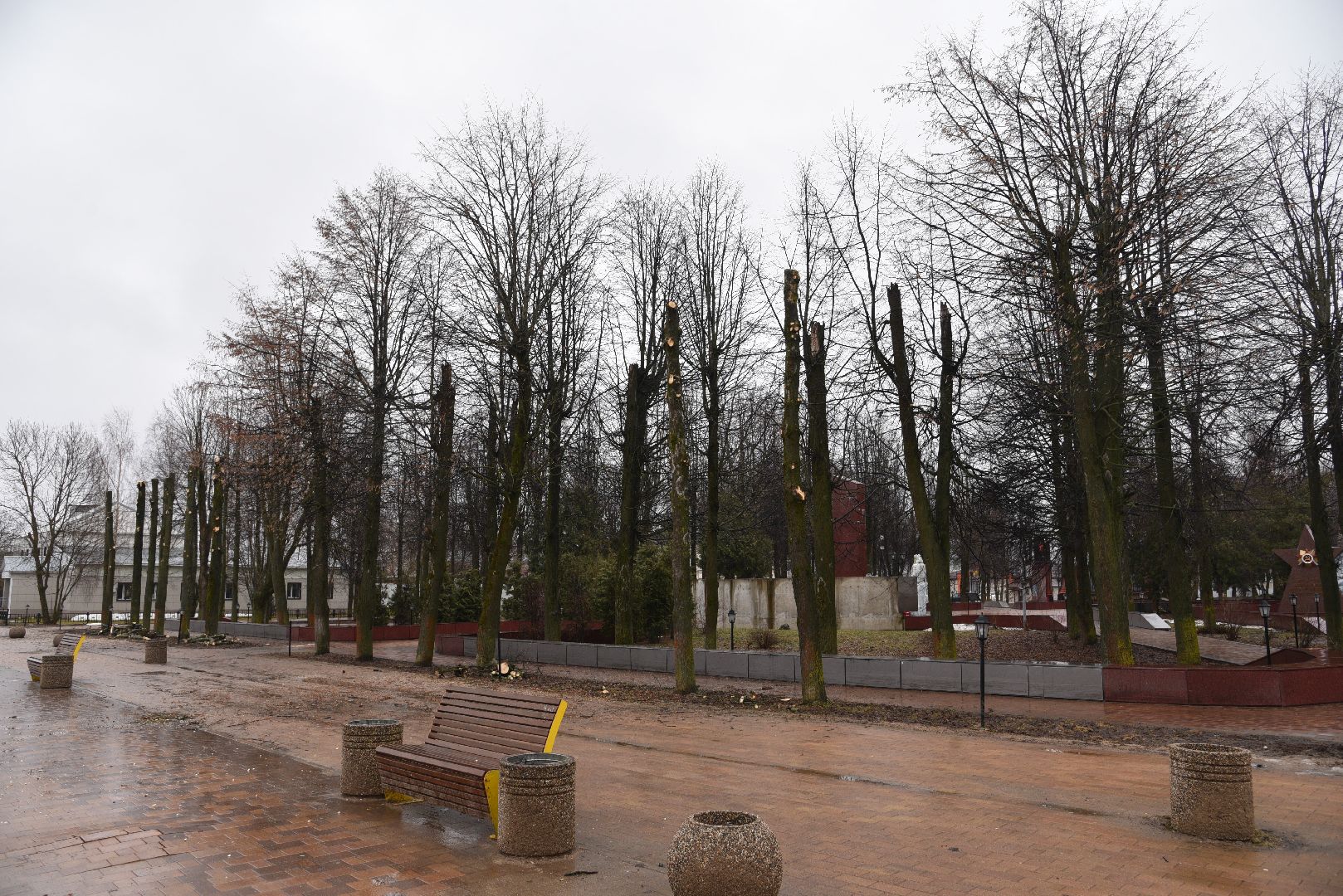 лотошино, благоустройство, кронирование,