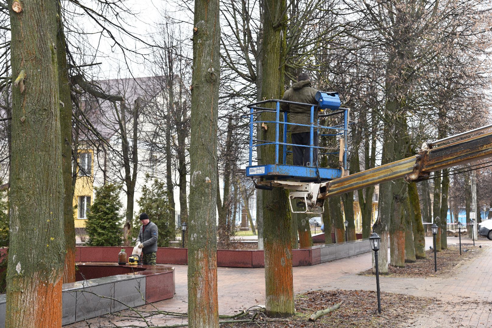 лотошино, благоустройство, кронирование,