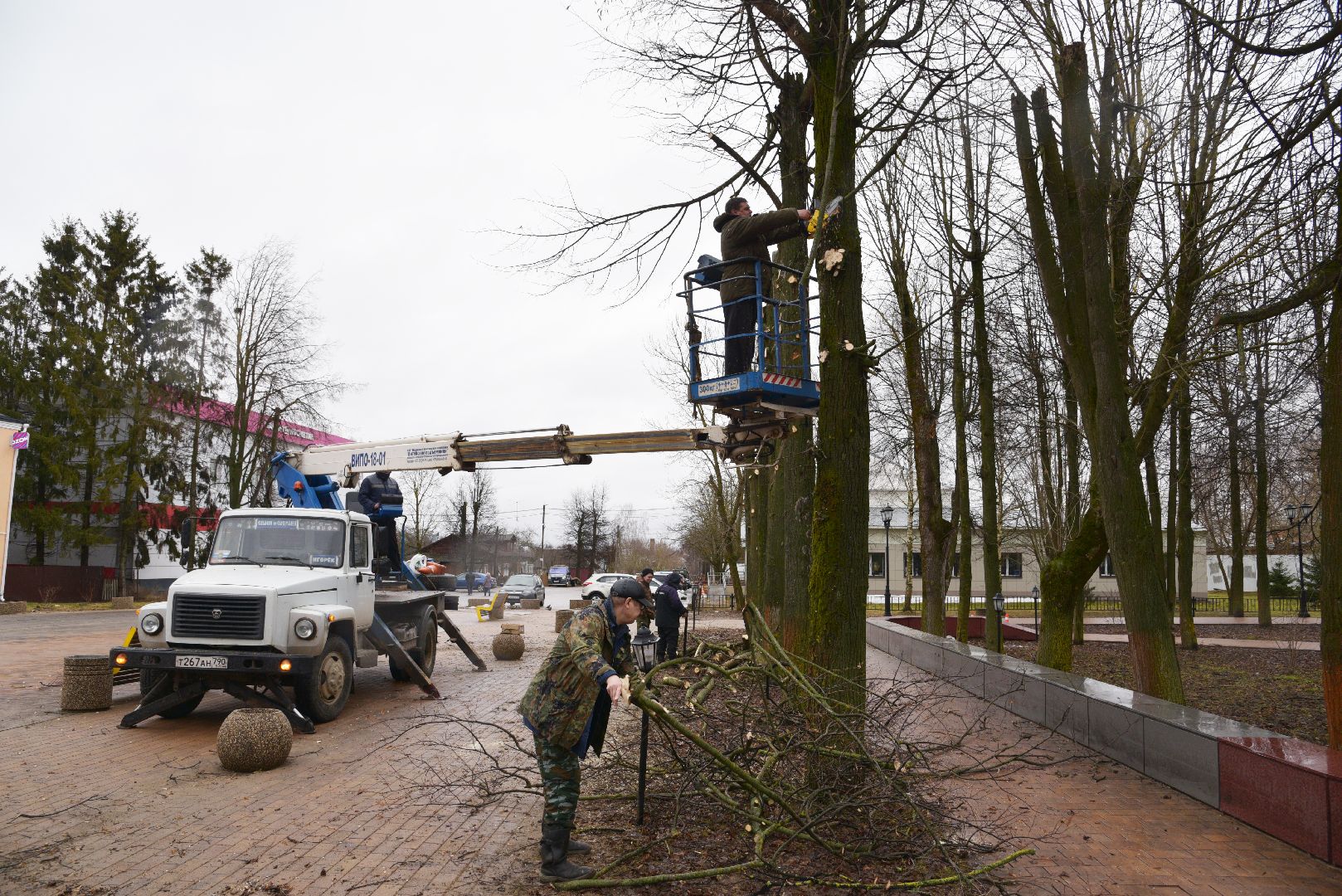 лотошино, благоустройство, кронирование,