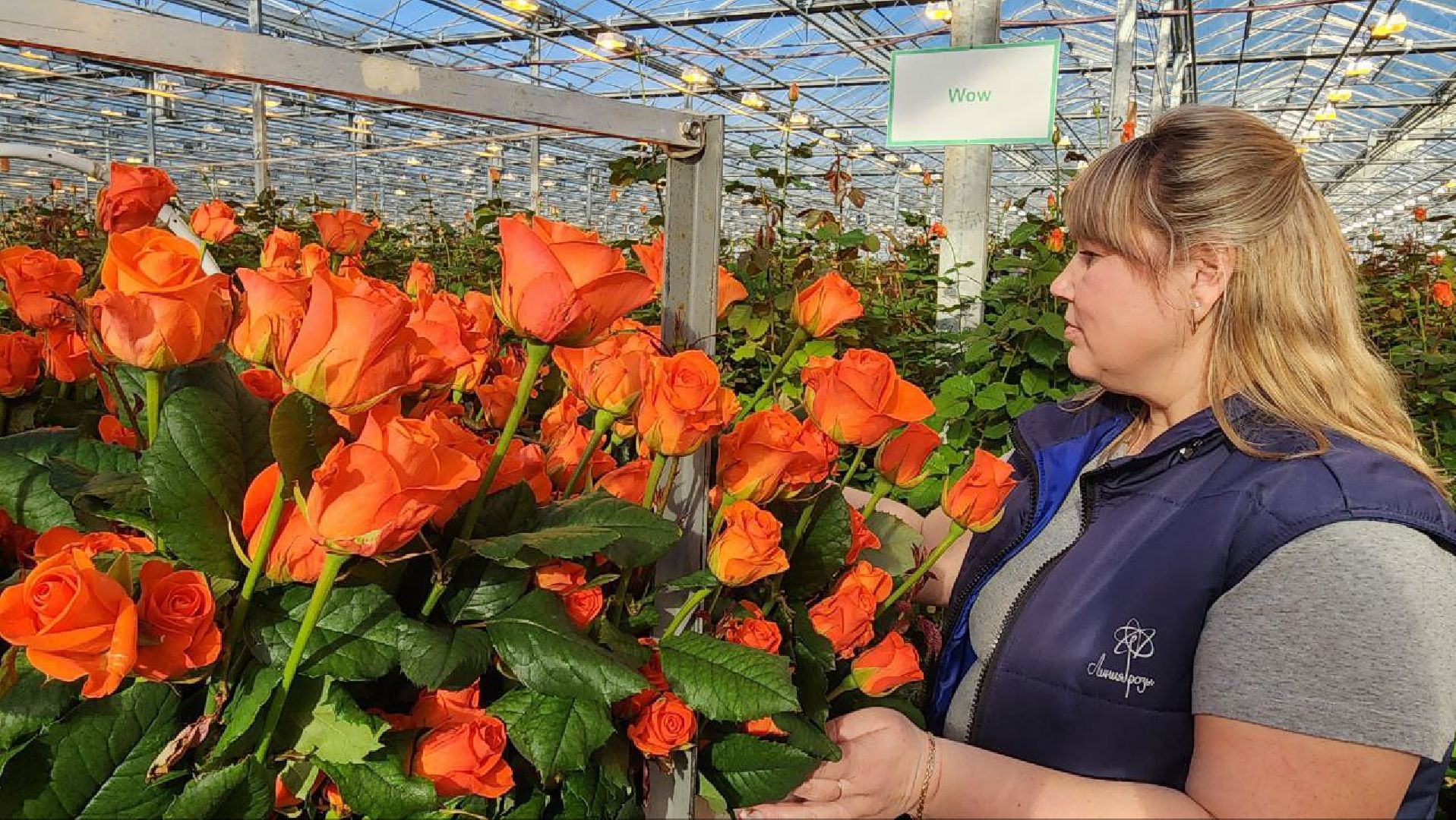 Дмитров, ТК Подосинки, Минсельхоз,