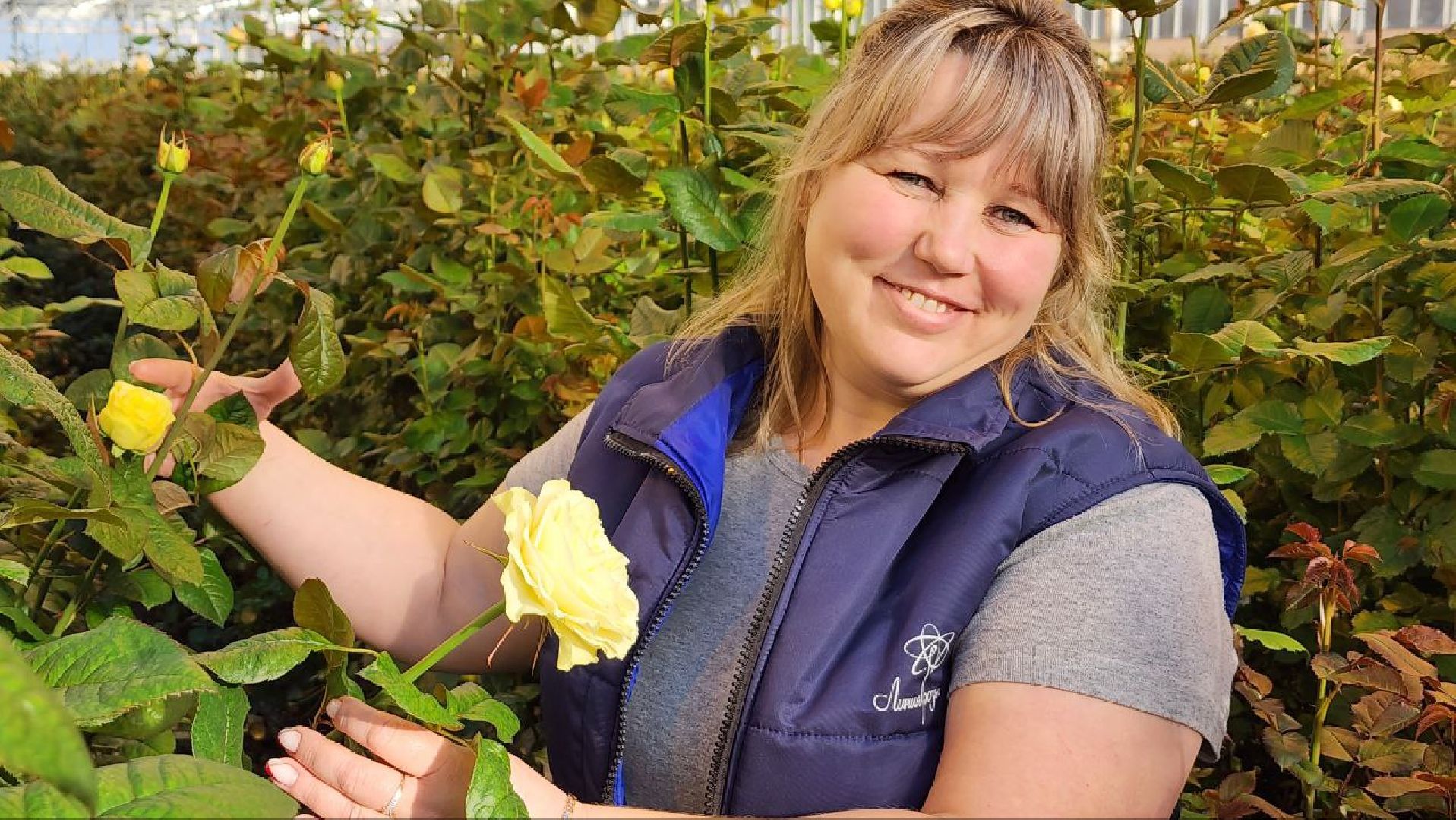 Дмитров, ТК Подосинки, Минсельхоз,