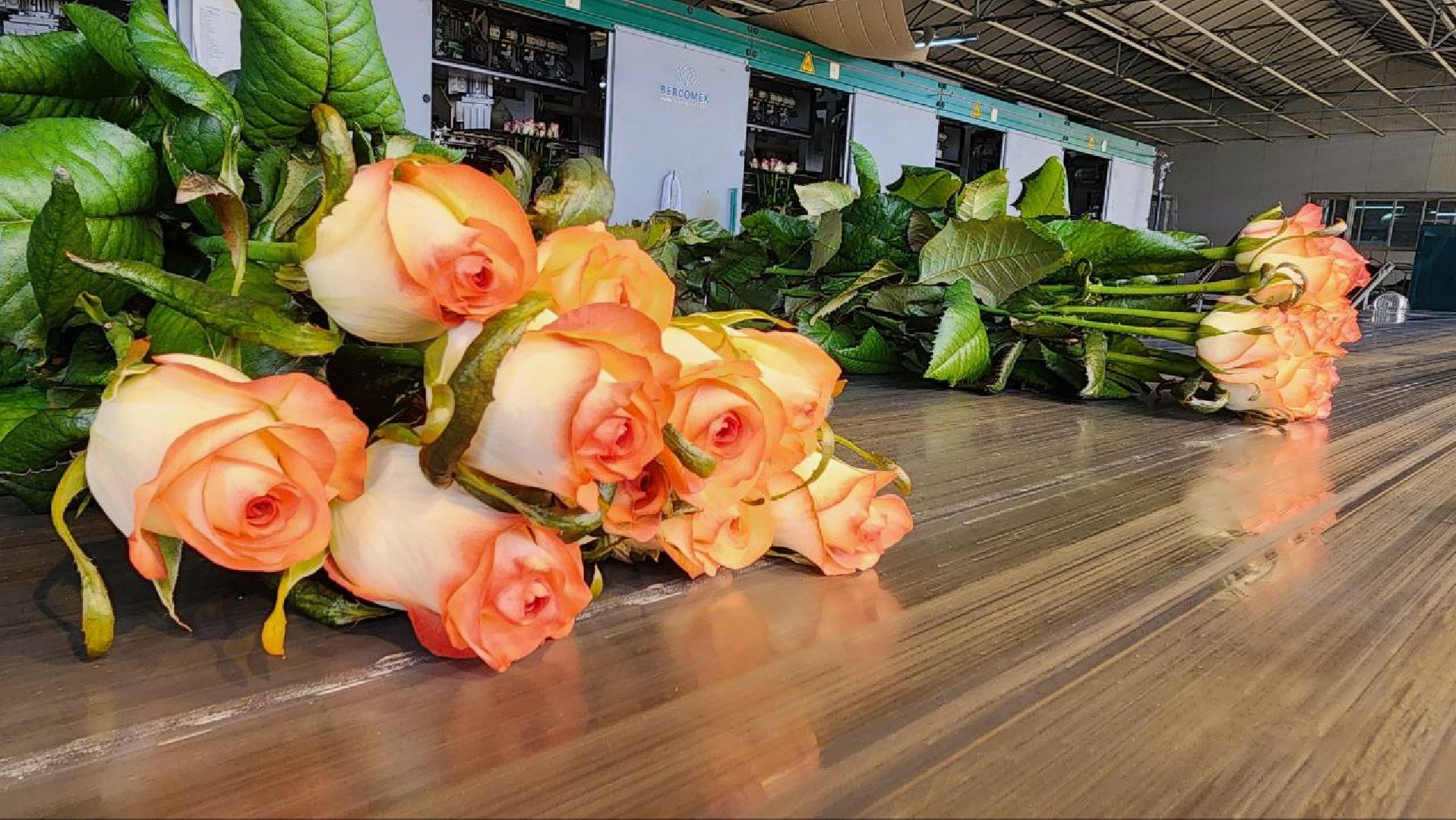 Дмитров, ТК Подосинки, Минсельхоз,