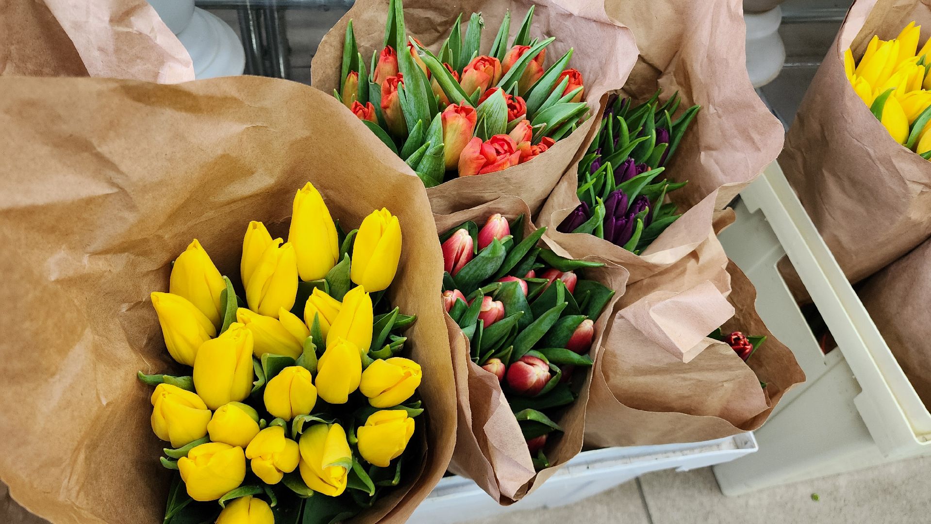 Бронницы, Цветы к 8 марта, Мужчины выбирают цветы,