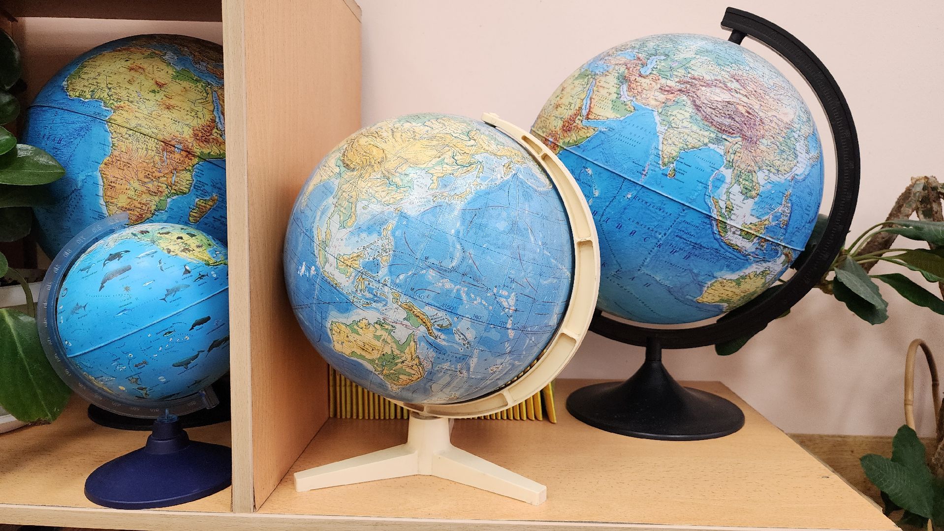 образование, школа имени Короленко, центр образования, Ногинск, Богородский городской округ,