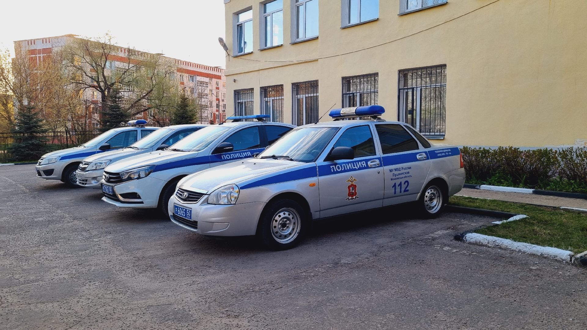 Подмосковье, Ивантеевка, МЧС, МВД, пал травы, пожароопасный сезон, ЧП